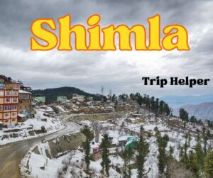 shimla weather