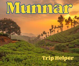 hotels in munnar