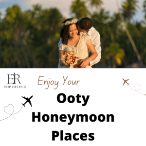 ooty honeymoon packages