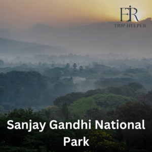 sanjay gandhi national park