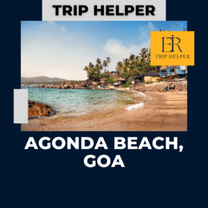 agonda beach goa