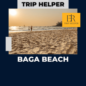 goa baga beach