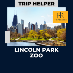 lincoln park zoo lights