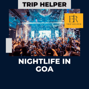 pub goa nightlife