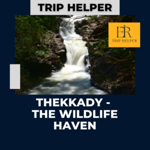 thekkady tourist places