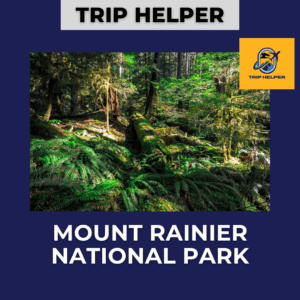 mount rainier national park photos